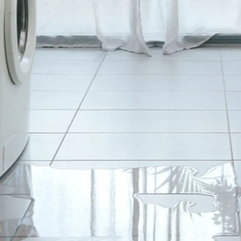 Appliance Leak Cleanup in Pueblo, CO